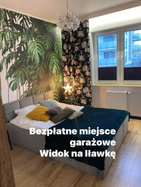 Apartament Tomek Gmina Iława